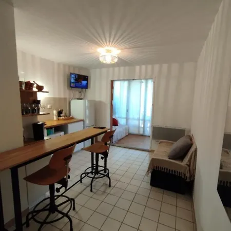 Rez-de-jardin Climatise Apartment *